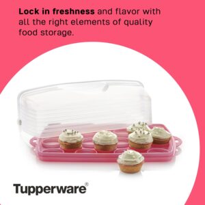 Tupperware - Rectangular Cake and Cupcake Carrier - Holds 18 Cupcakes