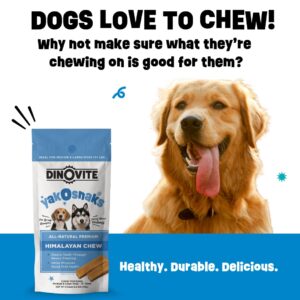 Dinovite YakoSnaks - Himalayan Yak Chews for Dogs - Long Lasting and Low Odor Yak Cheese Dog Chews (Medium/Large Dogs)