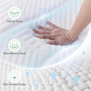 Novilla Mattress Twin XL, 12 Inch 5-Zone Hybrid Mattress with Gel Memory Foam for Pressure Relief & Cool Night, Midume Firm XL Twin Mattress in A Box