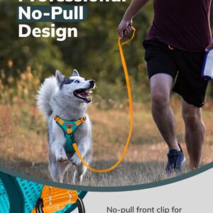 MIDOG Dog Harness, No-Pull Pet Harness and Leash Set for Small Medium Large Dogs Walking, No Choke Front Clip Dog Reflective Harness, Adjustable Soft Padded Pet Vest with Easy Control Handle (Blue,XL)