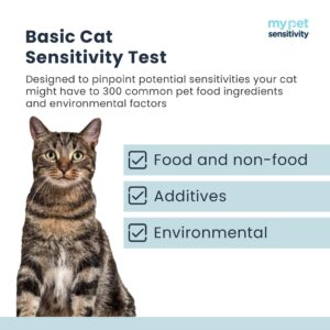 My Pet Sensitivity Test - Home Cat Sensitivity Test | 300 Items | Fast 3-5 Day Results | Gentle Fur Sampling | Comprehensive Food & Environment Analysis | Suitable for All Cats