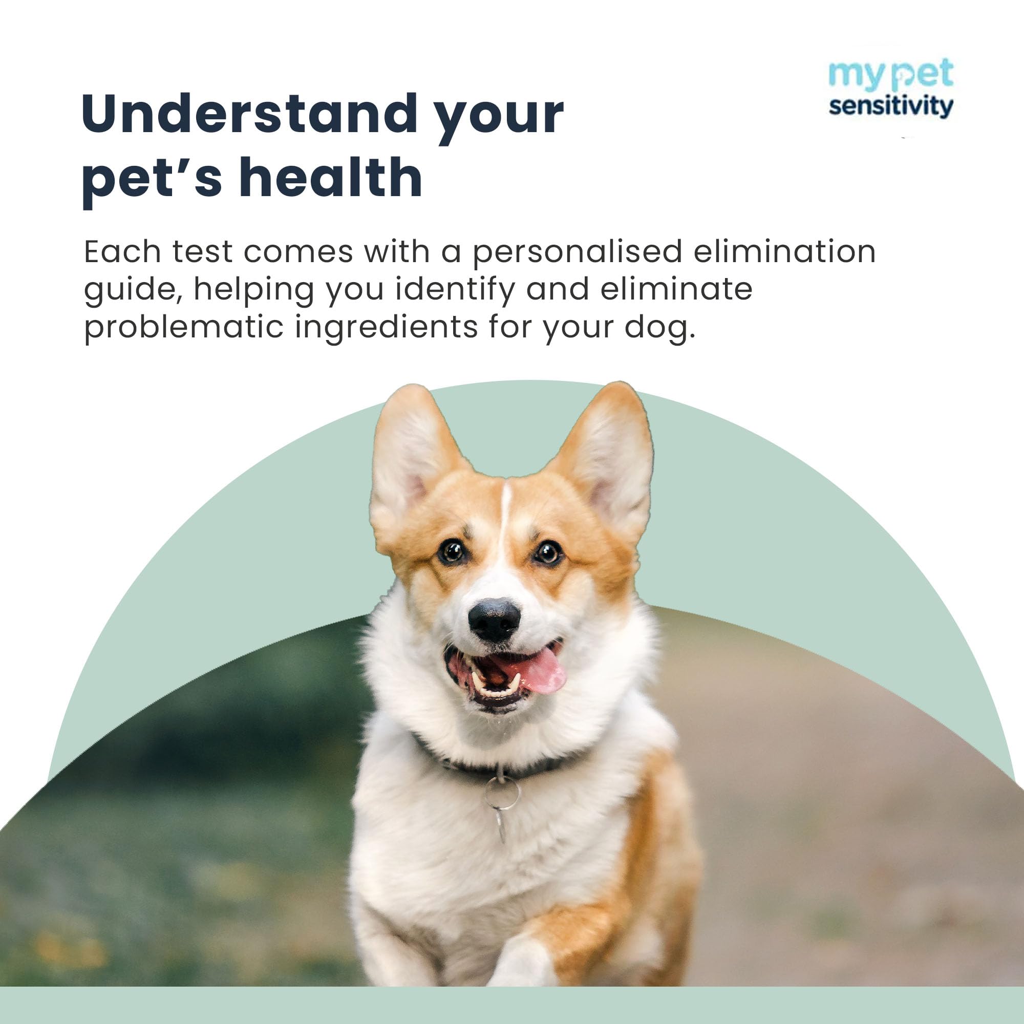 My Pet Sensitivity Test - Home Dog Sensitivity Test | 300 Items Checked | Fast 3-5 Day Results | Painless Hair Sample Method | Food, Environment & Additives Analysis | All Dog Breeds & Ages