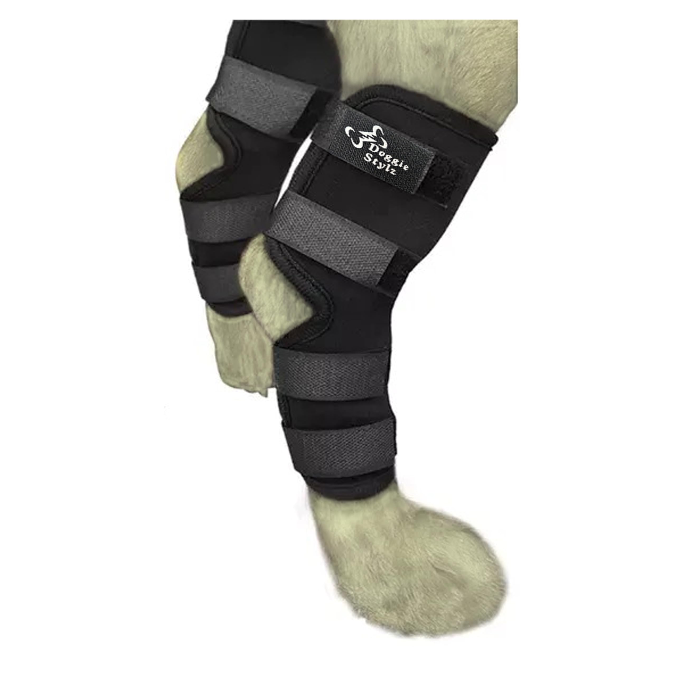 Premium Canine Hock Joint Dog Leg Brace. Rear leg braces for dogs help in Recovery, Injury Protection, Compression Wrap, Loss of Stability Caused by Arthritis. Effective post surgery for dogs rear leg