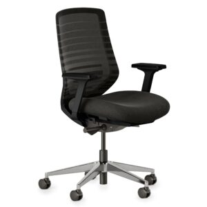 branch ergonomic chair - a versatile desk chair with adjustable lumbar support, breathable mesh backrest, and smooth wheels - experience optimal comfort and support - all black