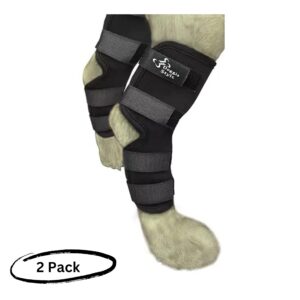 Premium Canine Hock Joint Dog Leg Brace. Rear leg braces for dogs help in Recovery, Injury Protection, Compression Wrap, Loss of Stability Caused by Arthritis. Effective post surgery for dogs rear leg