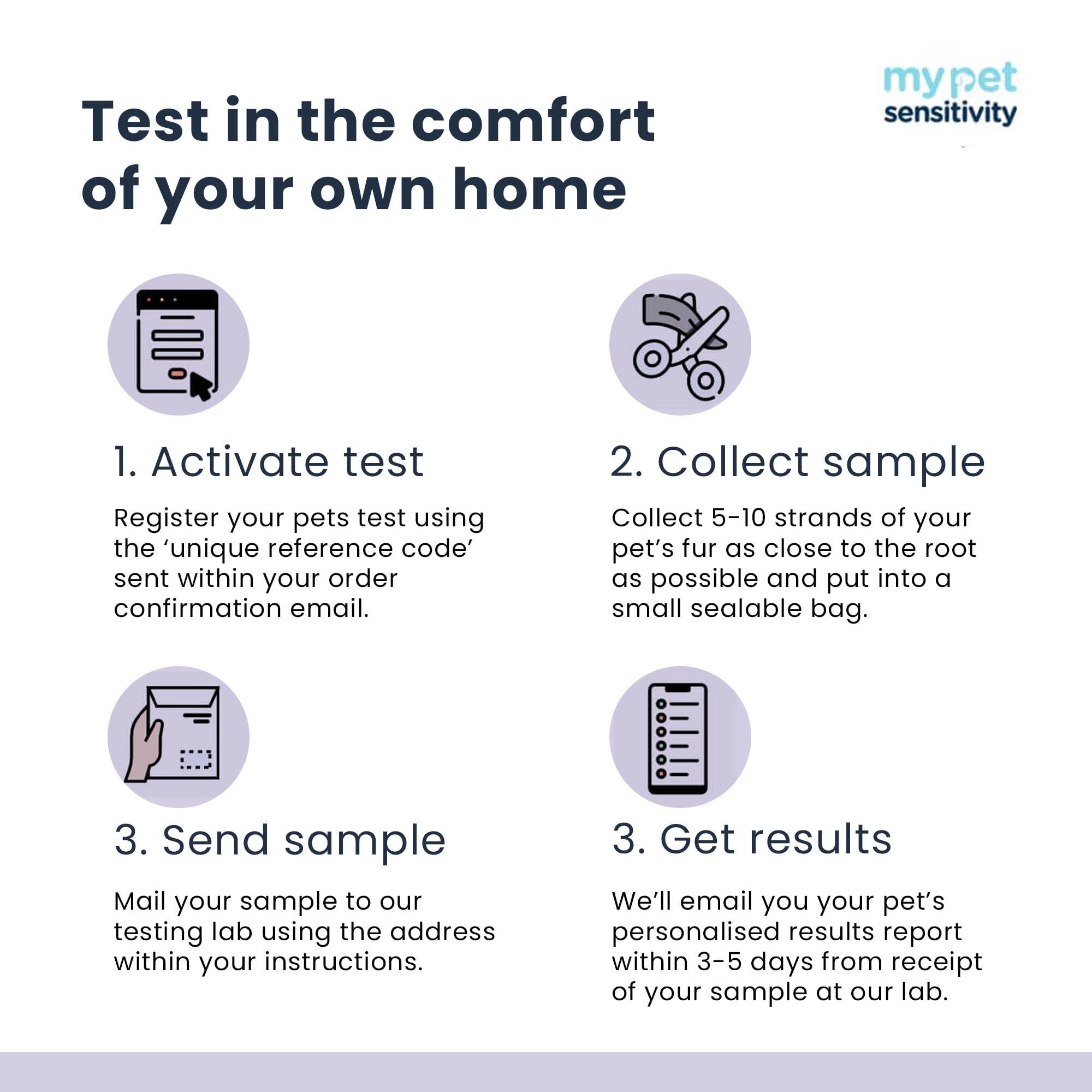 My Pet Sensitivity Test - Home Puppy & Kitten Sensitivity Test | 300 Items | 3-5 Day Results | Non-Invasive Hair Sampling | Comprehensive Food & Environmental Analysis | Ideal for Young Pets