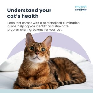 My Pet Sensitivity Test - Home Cat Sensitivity Test | 300 Items | Fast 3-5 Day Results | Gentle Fur Sampling | Comprehensive Food & Environment Analysis | Suitable for All Cats