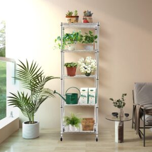 Doredo 5 Tier Narrow Wire Shelving Unit with Wheels, Adjustable Narrow Metal Shelf with NSF Certified, Narrow Storage Shelves for Laundry, Garage, Kitchen, Pantry, 18" D X 24" W X 71" H, Chrome