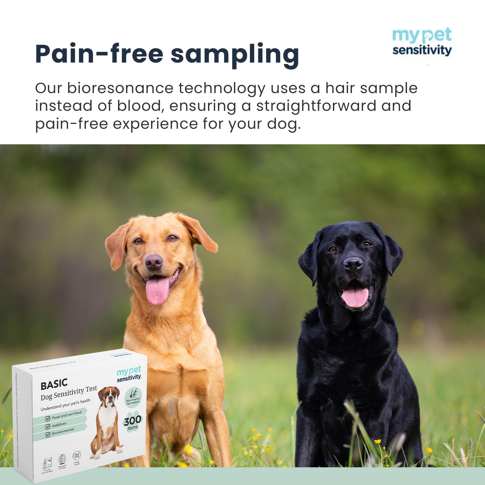 My Pet Sensitivity Test - Home Dog Sensitivity Test | 300 Items Checked | Fast 3-5 Day Results | Painless Hair Sample Method | Food, Environment & Additives Analysis | All Dog Breeds & Ages