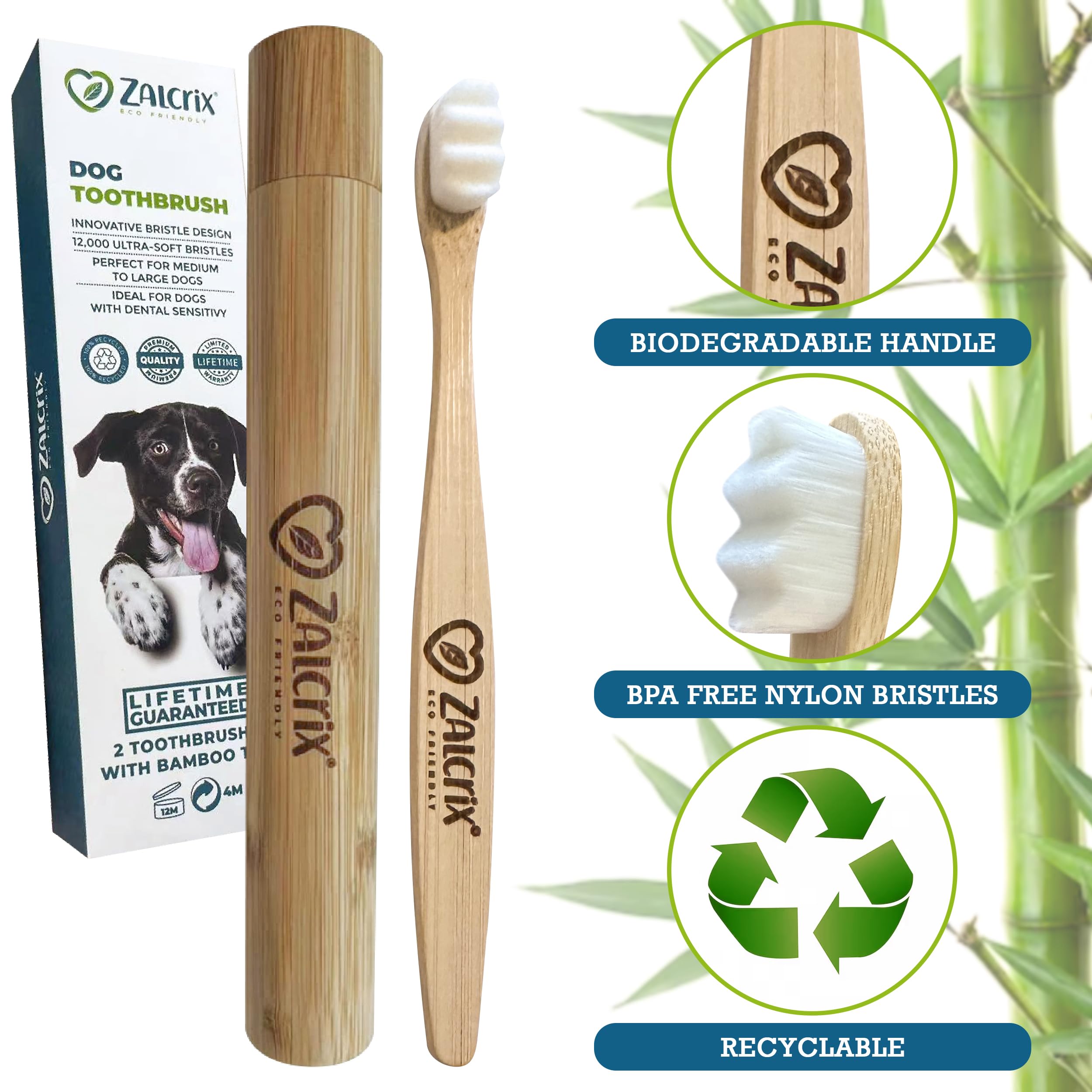 zalcrix ECO-FREINDLY Dog Toothbrush - Natural Bamboo with 12,000 Ultra-Soft Bristles for A Gentle Yet Effective Clean Ideal for Your Pet's Sensitive Teeth and Gums