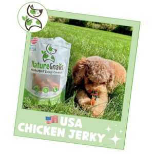 Nature Gnaws USA Chicken Jerky for Dogs (1Lb) – Delicious Grain Free Reward Snack for Small, Medium & Large Breeds - Premium Natural Dog Chew Treats