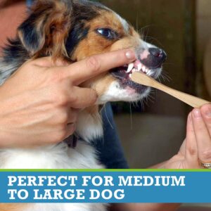 zalcrix ECO-FREINDLY Dog Toothbrush - Natural Bamboo with 12,000 Ultra-Soft Bristles for A Gentle Yet Effective Clean Ideal for Your Pet's Sensitive Teeth and Gums