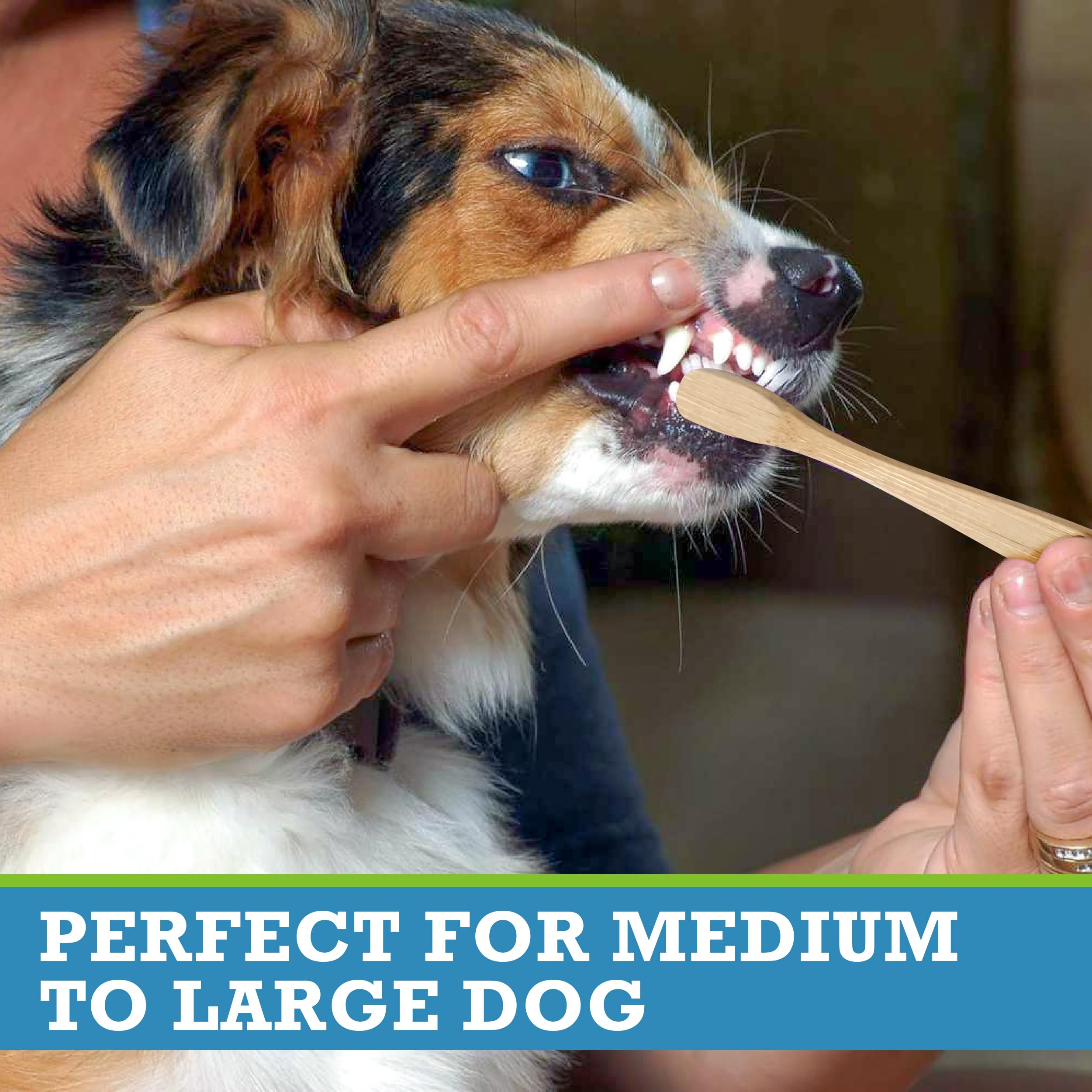 zalcrix ECO-FREINDLY Dog Toothbrush - Natural Bamboo with 12,000 Ultra-Soft Bristles for A Gentle Yet Effective Clean Ideal for Your Pet's Sensitive Teeth and Gums