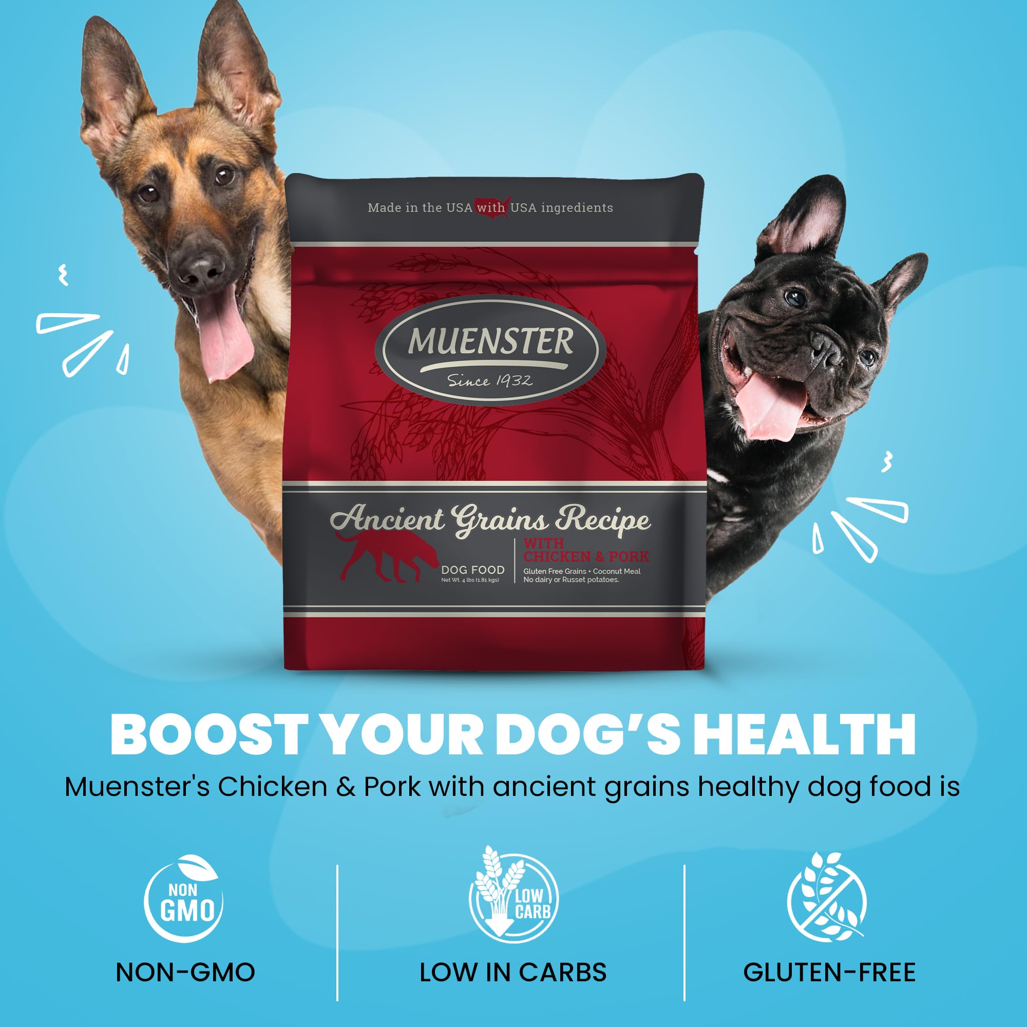 Muenster Adult Dry Dog Food, Small Breed, Large Breed - 4lb Bag Ancient Grain w/Chicken & Pork - Little Bites – Gluten Free, Non-GMO High Protein Dog Food - Soft & Healthy Digestive Dog Kibble