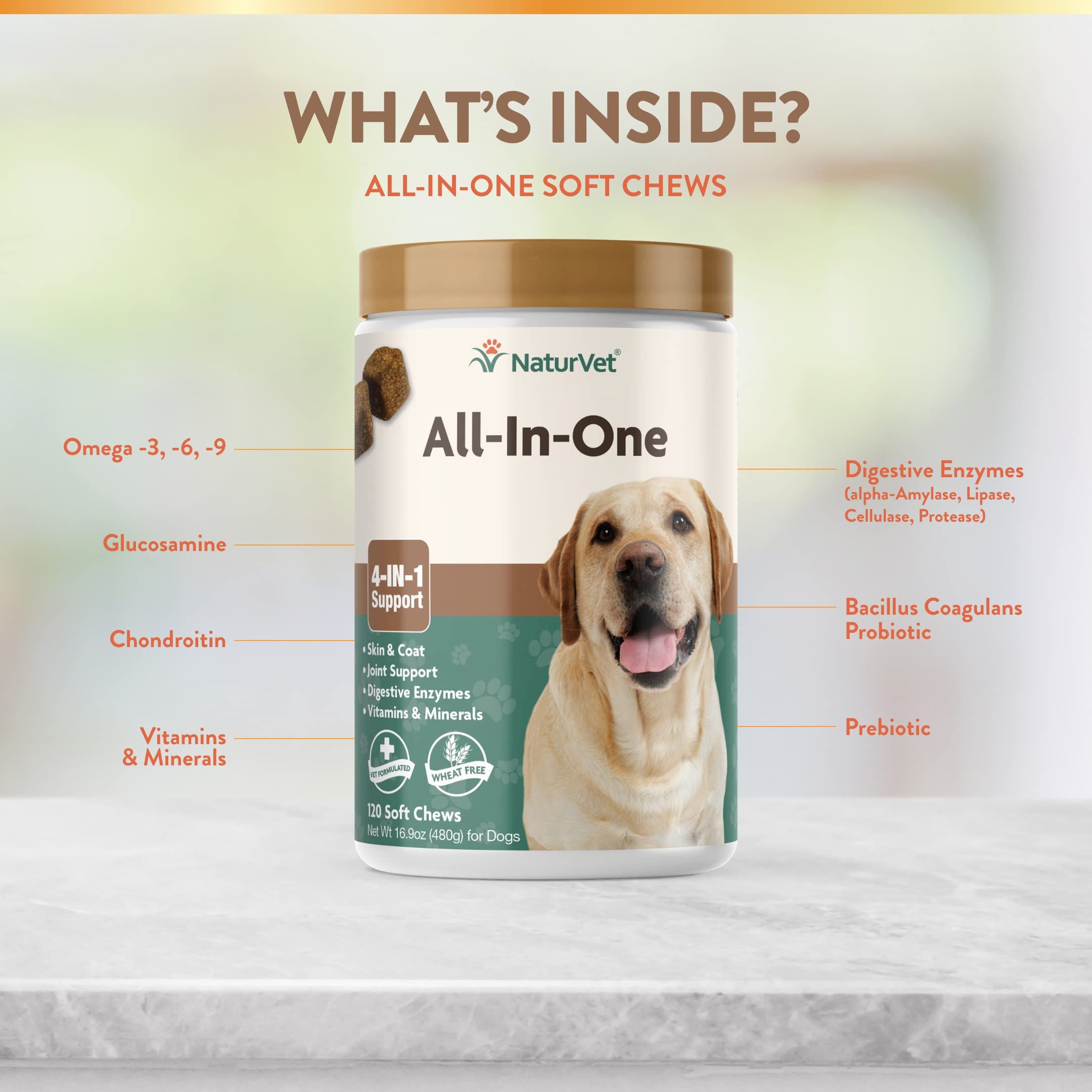 NaturVet All-in-One Dog Supplement - for Joint Support, Digestion, Skin, Coat Care – 120 Soft Chews & No Scoot for Dogs - 120 Soft Chews - Supports Healthy Anal Gland & Bowel Function