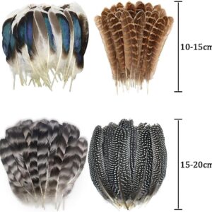 40pcs Natural Pheasant Feathers, Spotted Feathers, Turkey Feathers, 4 Styles Feathers for Crafts DIY Hat Floral Arrangements Wing Quill Wedding Home Party