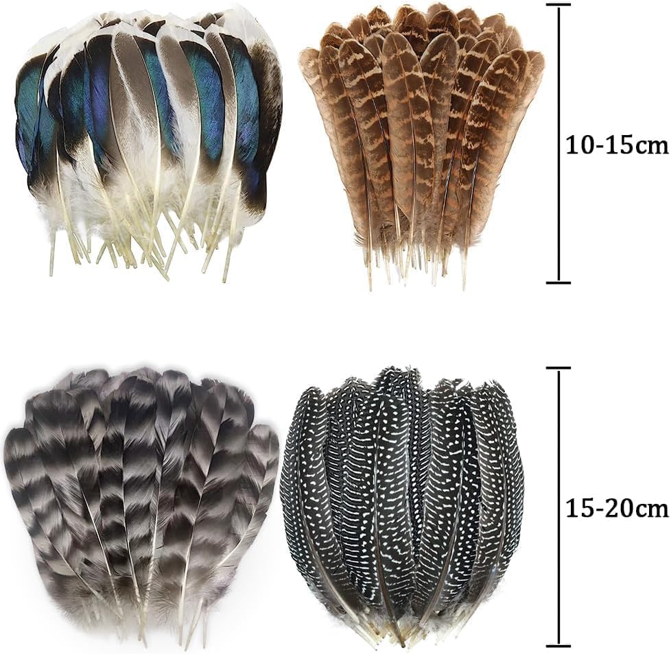 40pcs Natural Pheasant Feathers, Spotted Feathers, Turkey Feathers, 4 Styles Feathers for Crafts DIY Hat Floral Arrangements Wing Quill Wedding Home Party