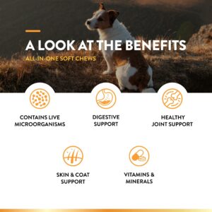 NaturVet All-in-One Dog Supplement - for Joint Support, Digestion, Skin, Coat Care – 120 Soft Chews & No Scoot for Dogs - 120 Soft Chews - Supports Healthy Anal Gland & Bowel Function