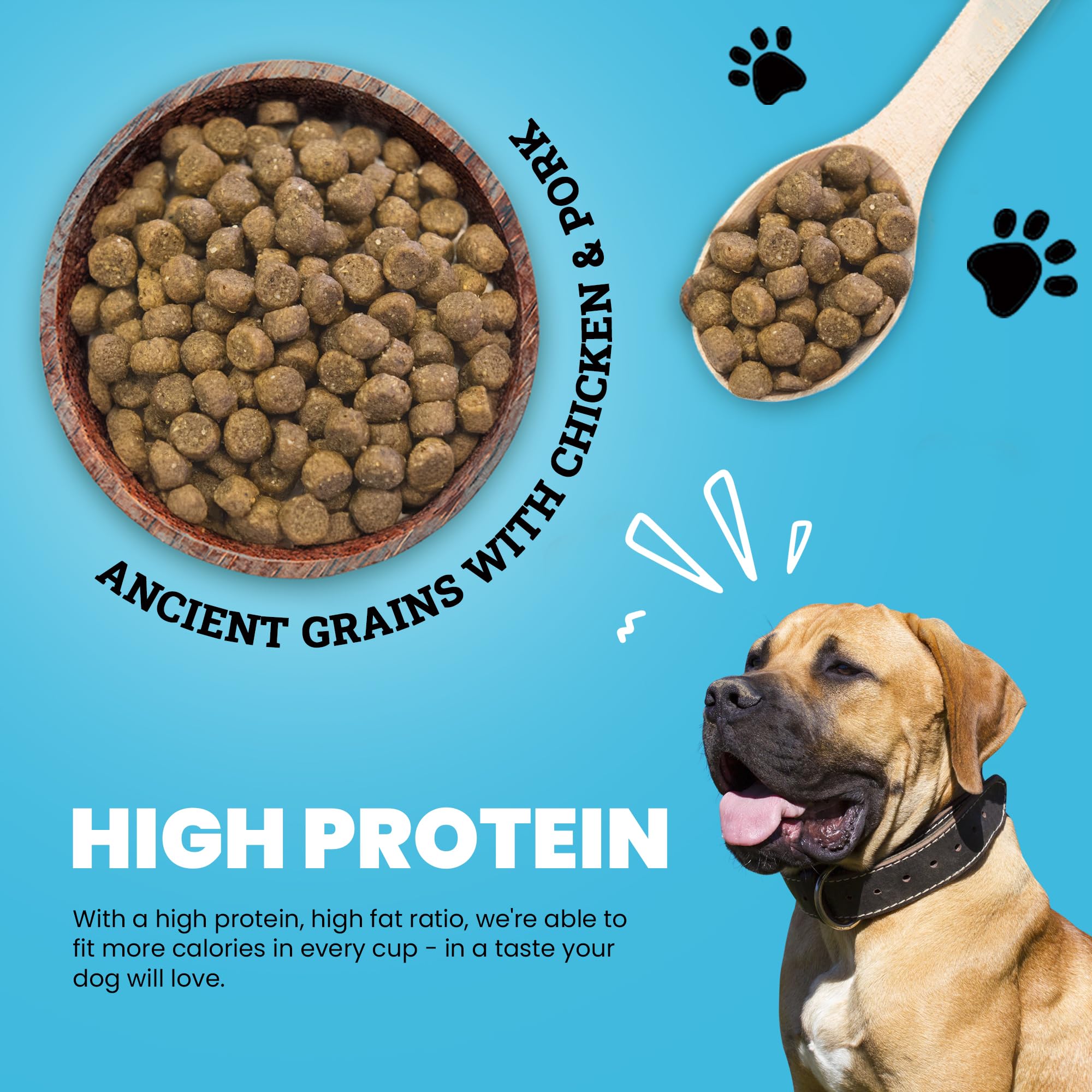 Muenster Adult Dry Dog Food, Small Breed, Large Breed - 4lb Bag Ancient Grain w/Chicken & Pork - Little Bites – Gluten Free, Non-GMO High Protein Dog Food - Soft & Healthy Digestive Dog Kibble