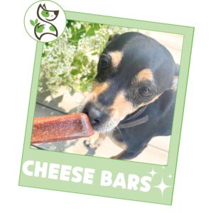 Nature Gnaws Chicken Cheese Bar Chews for Dogs (4 Count) – Hard Long Lasting for Aggressive Chewers - Rawhide Free Dog Chew Bones - Yak Alternative