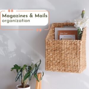 CHI AN HOME Wicker Hanging Storage Baskets, Set of 2 Hanging Wall Baskets, Mail Baskets for Wall, Hanging Baskets for Organizing Files, Books, Accessories