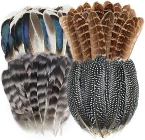 40pcs natural pheasant feathers, spotted feathers, turkey feathers, 4 styles feathers for crafts diy hat floral arrangements wing quill wedding home party