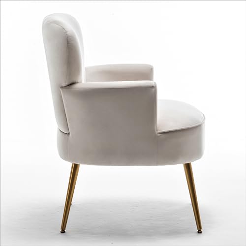 Container Furniture Direct Trendy Velvet Accent Chair with Gold Metal Legs, Upholstered Armchair for Small to Mid-Size Spaces, Modern Living Room, Bedroom, Vanity Desk and Entryway, Medium, Ivory