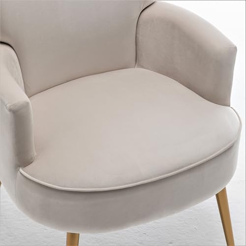 Container Furniture Direct Trendy Velvet Accent Chair with Gold Metal Legs, Upholstered Armchair for Small to Mid-Size Spaces, Modern Living Room, Bedroom, Vanity Desk and Entryway, Medium, Ivory