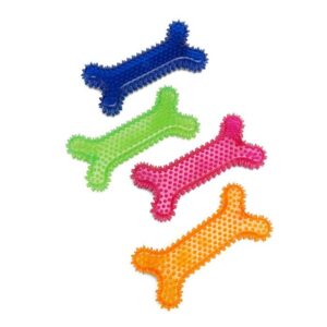 Leaps & Bounds Spiny Bone Assorted Chew Toy for Dogs Large