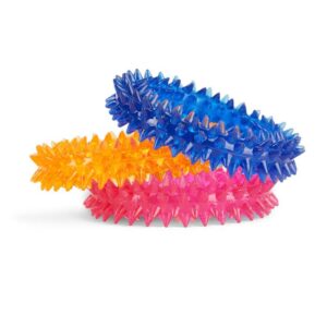 Leaps & Bounds Spiny Ring Assortment Dog Chew Toy Small