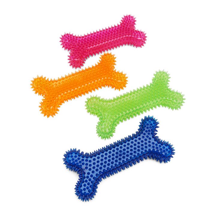 Leaps & Bounds Spiny Bone Assorted Chew Toy for Dogs Large