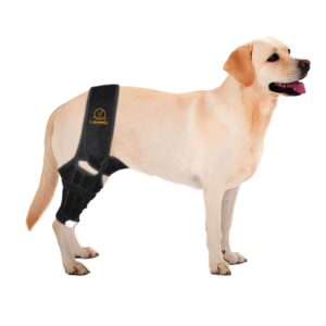 landwill dog knee brace for cruciate ligament injury joint pain muscle soreness. adjustable dog leg brace, dog support brace,dog hind leg support.(black l)