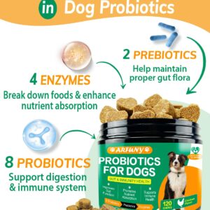 Probiotics Chews for Dogs with Prebiotic & Digestive Enzymes,Support Gut Health, Digestion, Immunity, Relief Seasonal Allergies, Diarrhea, Constipation (Chicken Flavor / 120 Chews)