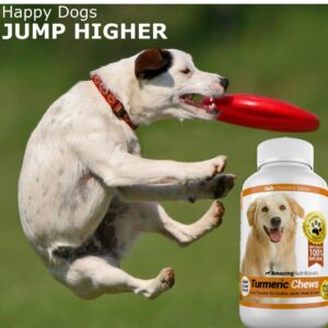 Amazing Turmeric for Dogs and Omega 3 Fish Oil for Dogs Bundle