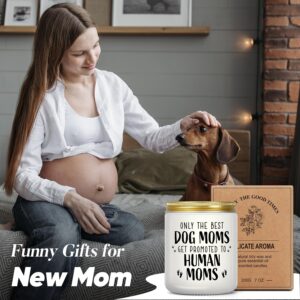 New Mom Gifts for Pregnant Women, Funny Dog Mom Pregnancy Gift for Expecting Mom, Mother to be Gift for First Time Moms, Congrats on Pregnancy Present for Wife Friend Sister, Lavender Scented Candle