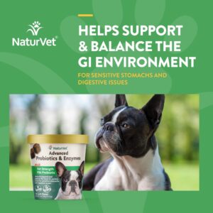 NaturVet – Advanced Probiotics & Enzymes – Supports and Balances Pets with Sensitive Stomachs – 240 ct & All-in-One Dog Supplement - for Joint Support, Digestion, Skin, Coat Care – 240 Soft Chews