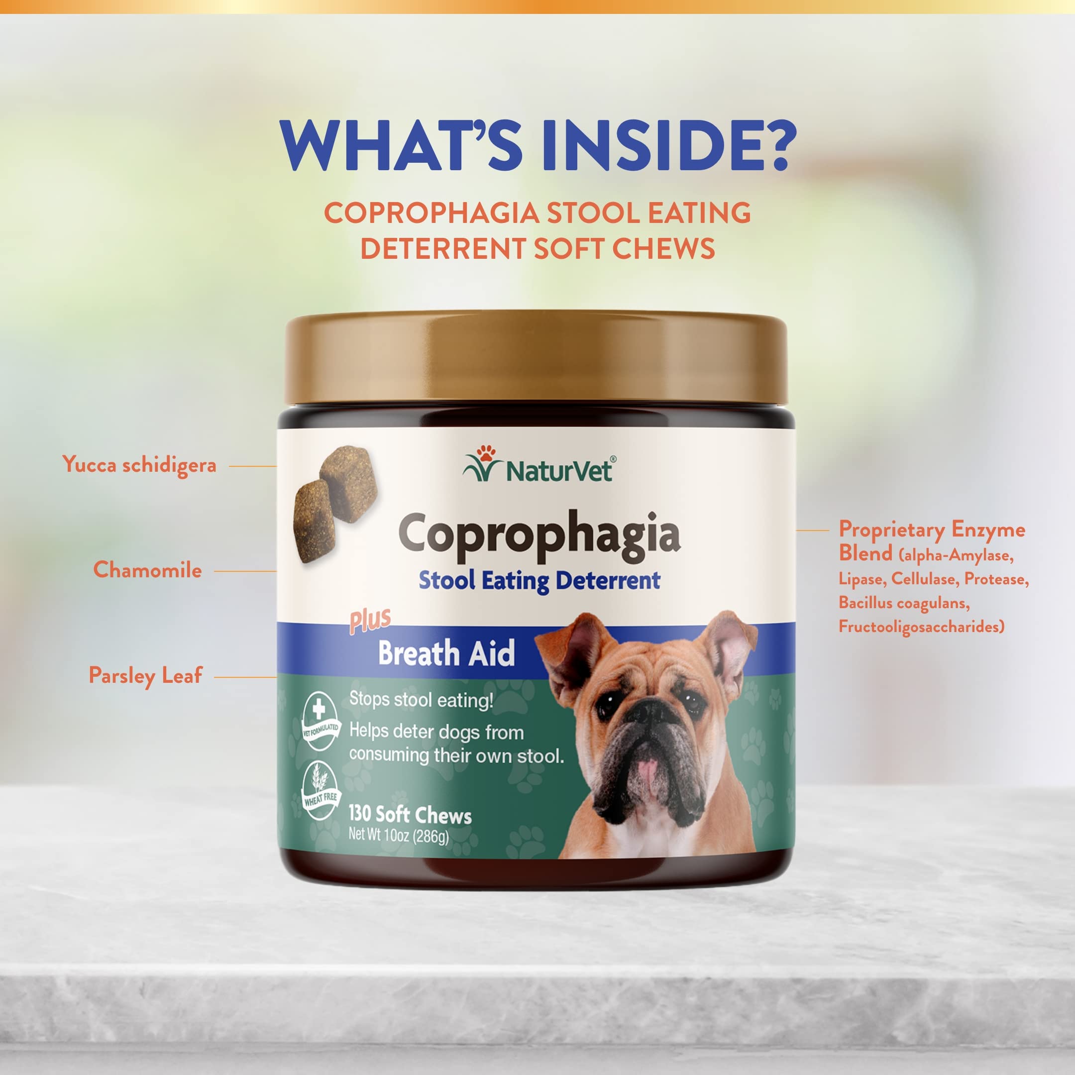 NaturVet – Coprophagia Stool Eating Deterrent – Deters Dogs from Consuming Stool – 130 Soft Chews & No Scoot for Dogs - 120 Soft Chews - Supports Healthy Anal Gland & Bowel Function