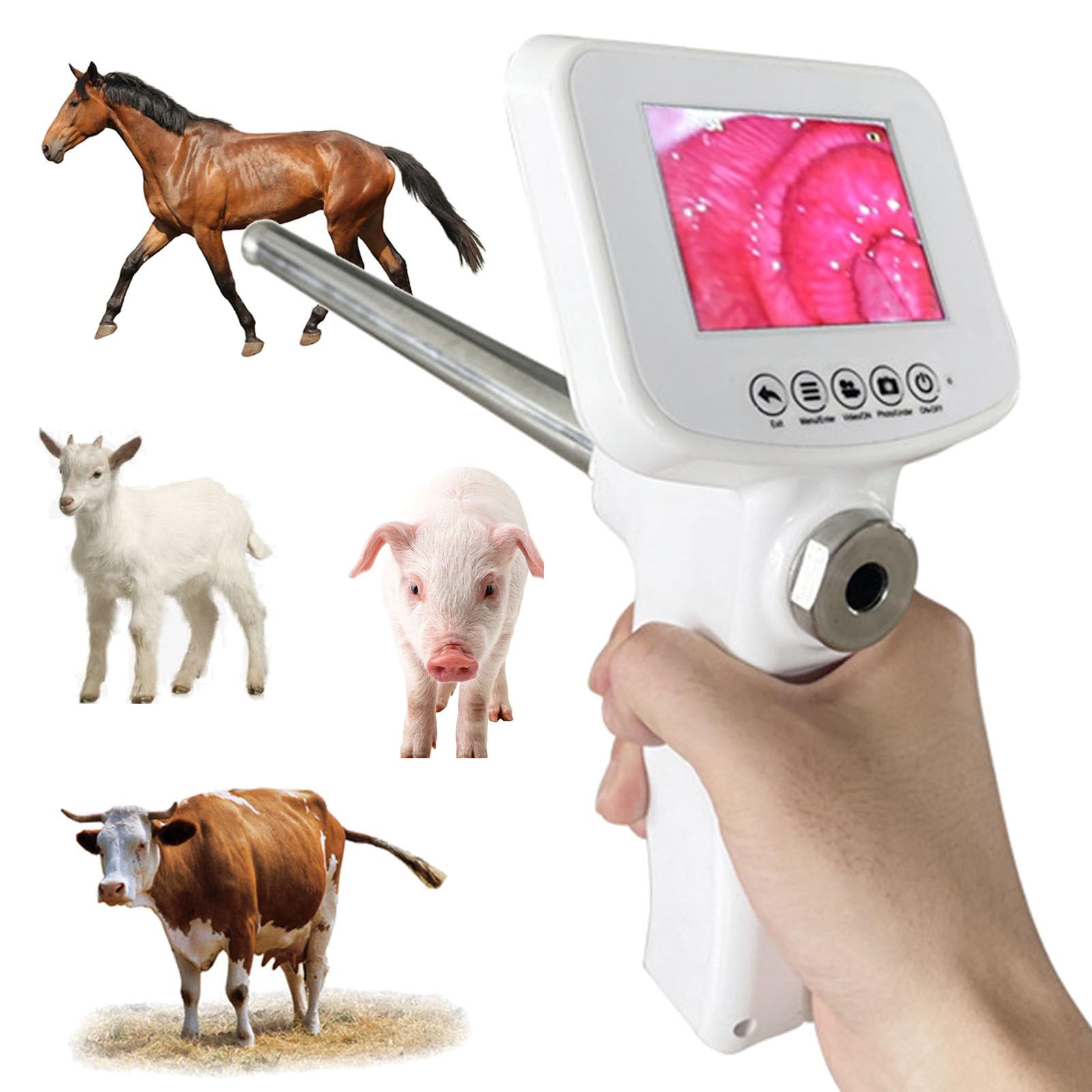 ZWJABYY Artificial Insemination Gun Instrument Cow Visual Endoscope Sperm AI Gun Artificial Insemination Device Deferens Veterinary Breeding Kit,Cattle