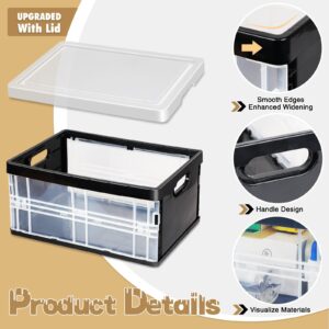 Daixers 10 Quart Storage Bins with Lids, Plastic Storage Bins,Foldable Storage Bins Stackable clear bins (Black)