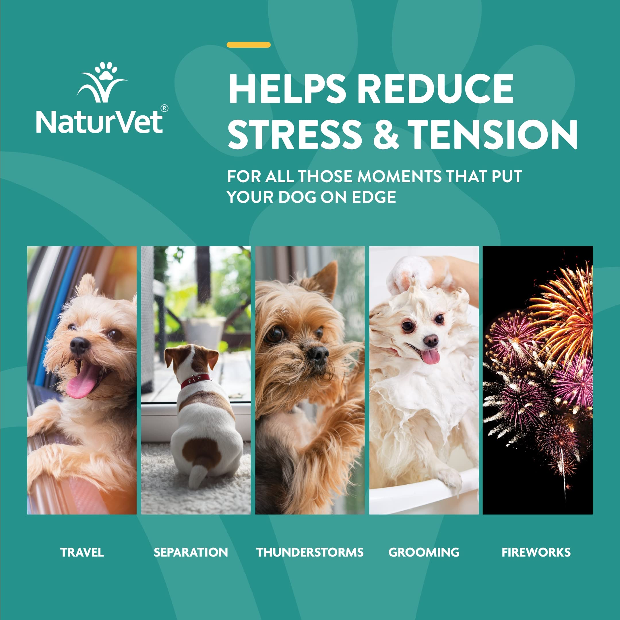 NaturVet Quiet Moments Senior Wellness Calming Aid Dog Supplement, Helps Promote Relaxation, Reduce Stress, Storm Anxiety, Motion Sickness for Dogs & Quiet Moments Calming Aid Dog Supplement – 65 Ct.