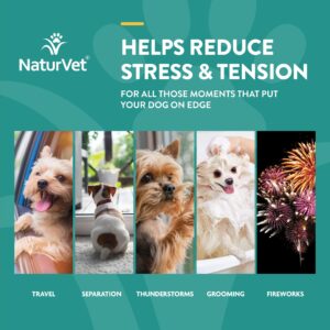 NaturVet – Coprophagia Stool Eating Deterrent Plus Breath Aid – 70 Soft Chews & Quiet Moments Calming Aid – Helps Promote Relaxation, Reduce Stress, Storm Anxiety, Motion Sickness for Dogs – 70 Ct.