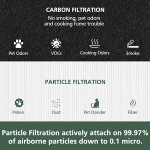 isinlive Blue Pure 311 Replacement Fil-TER Compatible with Blueair Blue Pure 311 Air Puri-Fier(Non auto), 2 in 1 Fil-tration Systems, Particle and Activated Carbon, 2 Pack
