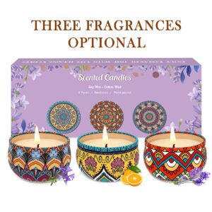 3 Pack Home Scented Candles - Strong Lavender, Bluebell & Mandarin Candle, 2.5 Oz, 100% Soy, Non-Toxic, Small Candle Set for Aromatherapy & Gifts, Prizes for Adults, Baby Shower Prizes