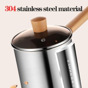 Deep Fryer Pot 304 Stainless Steel Frying Pan with Strainer Basket and Handle,Japanese Tempura Fryer Deep Fryers Frying Pot for Frying Fish Shrimp Chicken and Fries (Silver-1)