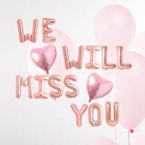 We Will Miss You Balloons, Rose Gold Mylar Farewell Party Sign, Going Away/Job Change/Travel/Retirement/Graduation Party Supplies