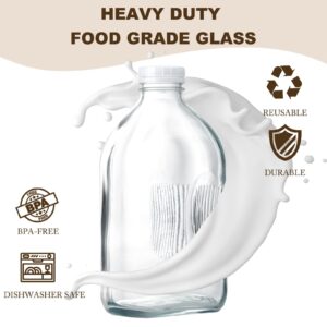 FyndraX Glass Milk Jugs Bottle - 64Oz Water Container with Airtight Screw Lid, Half Gallon Juice Jar Pitcher for Storage Iced or Hot Drinks in Refrigerator, Set of 1