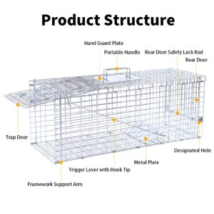 32" Live Animal Traps,Humane Animal Trap for Stray Cats up to 16.5 pounds, Raccoons, Squirrel, Skunk, Mole, Groundhog, Armadillo, Rabbit,Steel Foldable with Pedal Triggers