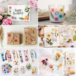 Knaid Pressed Flower Themed Stickers (Assorted 486 Pieces, 36 Sheets) Dried Floral Resin Stickers Decals Botanical Journaling Sticker for Scrapbook Supplies Junk Journal Bullet Journal Planner Laptop