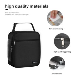 AYEANY Lunch box Lunch bag for men women Lunchbox Lunch bags Insulated Lunch bag Lunch box cooler (Black)