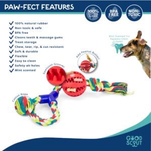 Good Scout Rubber Dental Ball & Cotton Rope Dog Toys for Tugging & Chewing, Best Dog Toy for Fetch, Chew Toy for Puppies & Adult Dogs, Dog Toy for Medium & Large Dogs with Treat Storage, 2.75-Inch